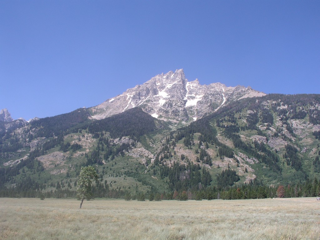 Teewinot from Lubine Meadows