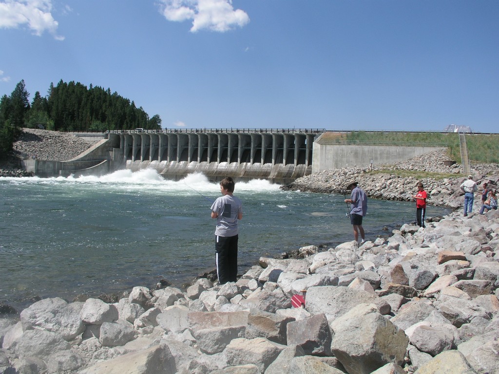 fishing below jackson lake dam