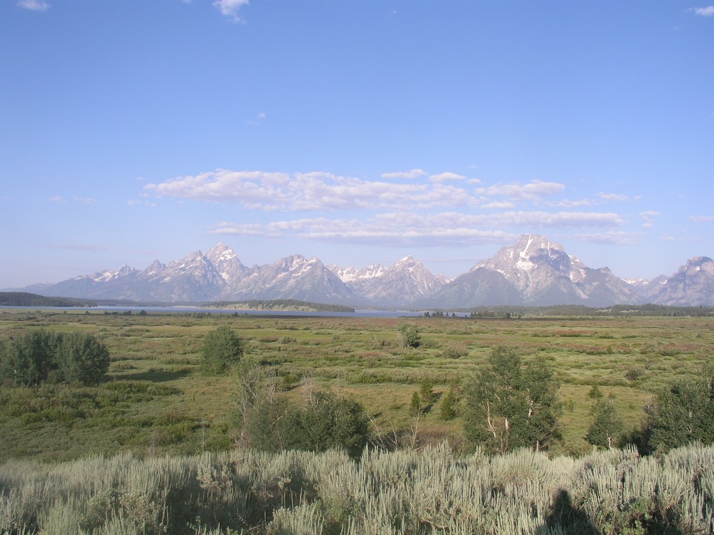 tetons from jackson lake lodge