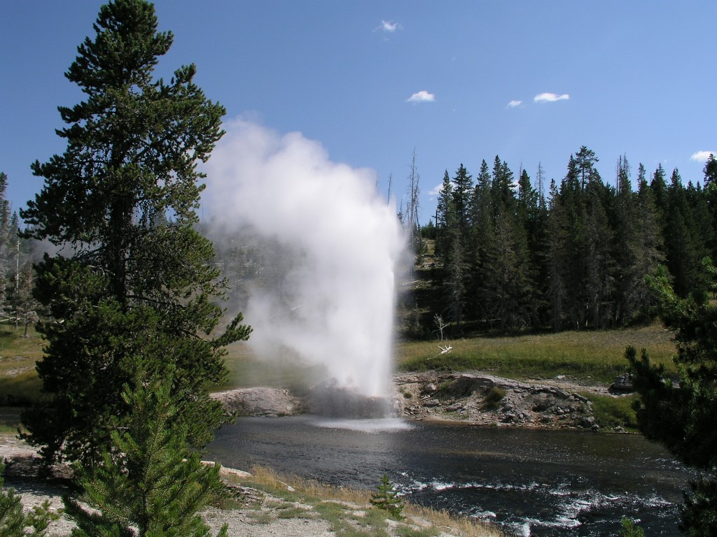 Riverside Geyser Yellowstone