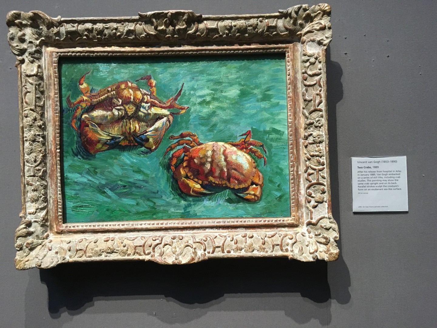 Vincent van Gogh - Two Crabs