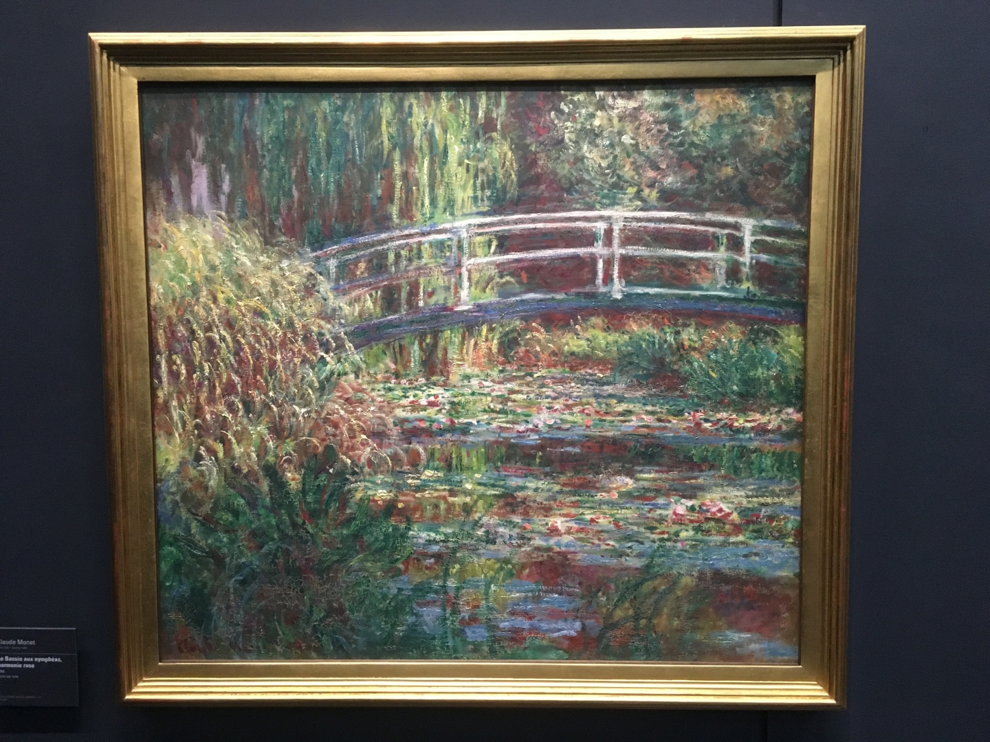 Claude Monet Le Bassin aux nypmphéas, harmonie rose