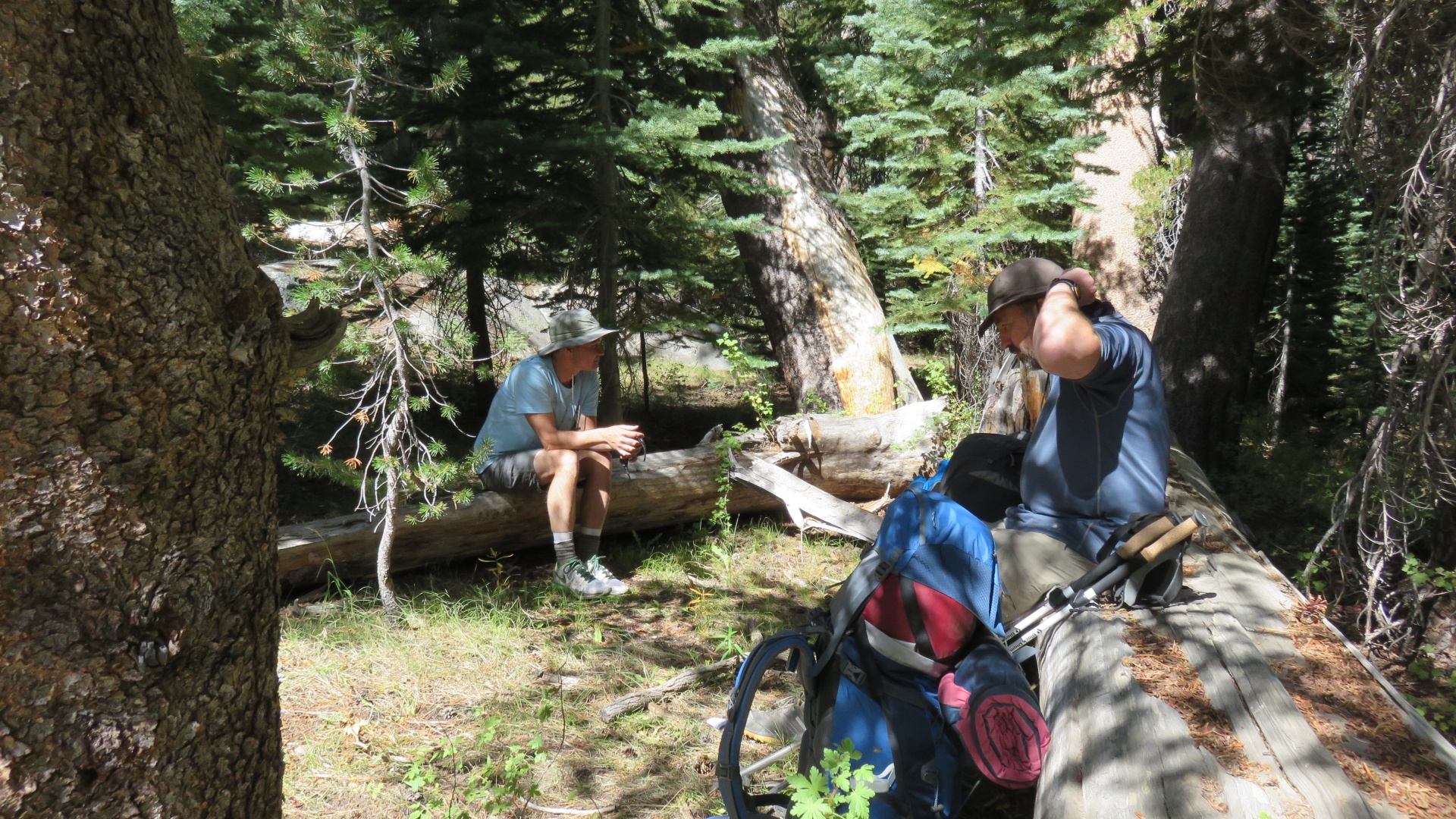 john muir trail ansel adams wilderness tuolumne meadows 2016 trip report