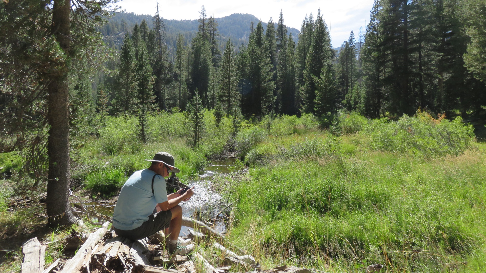 john muir trail ansel adams wilderness tuolumne meadows 2016 trip report