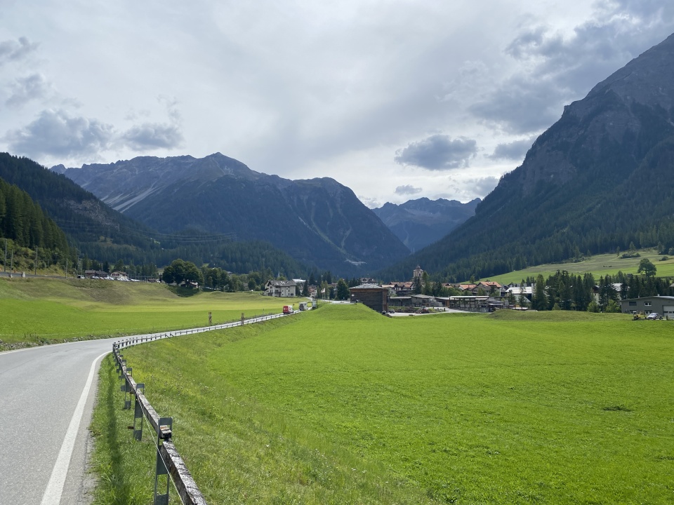 albula