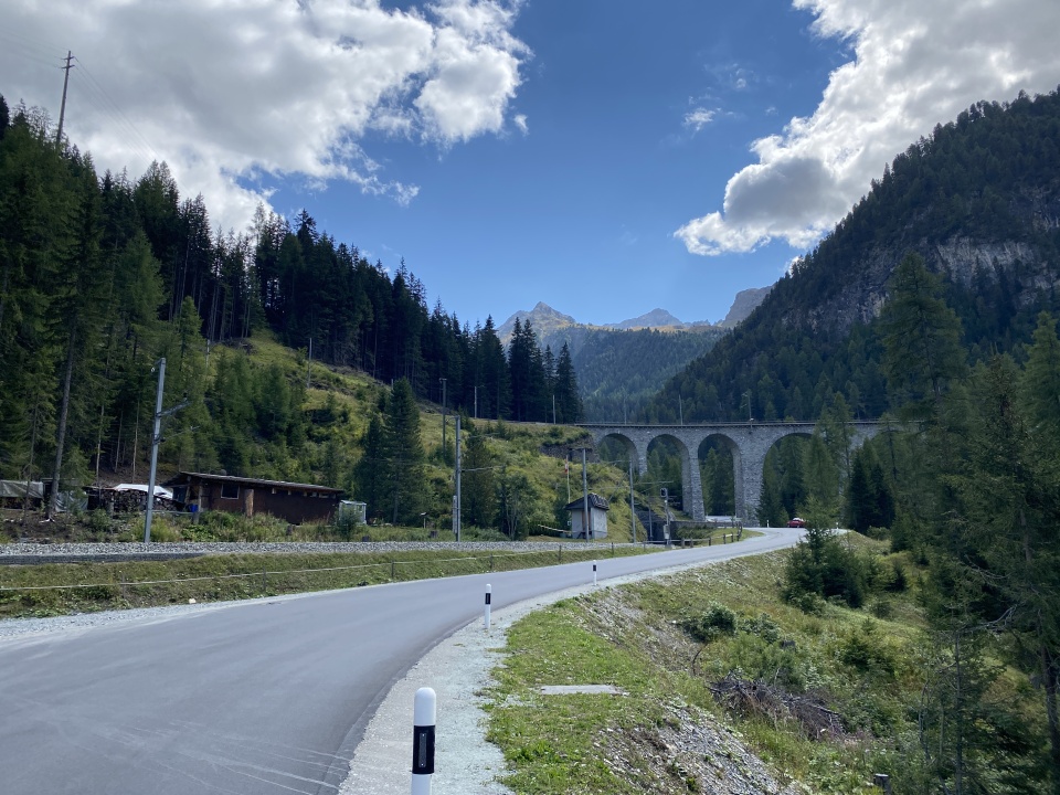 albula