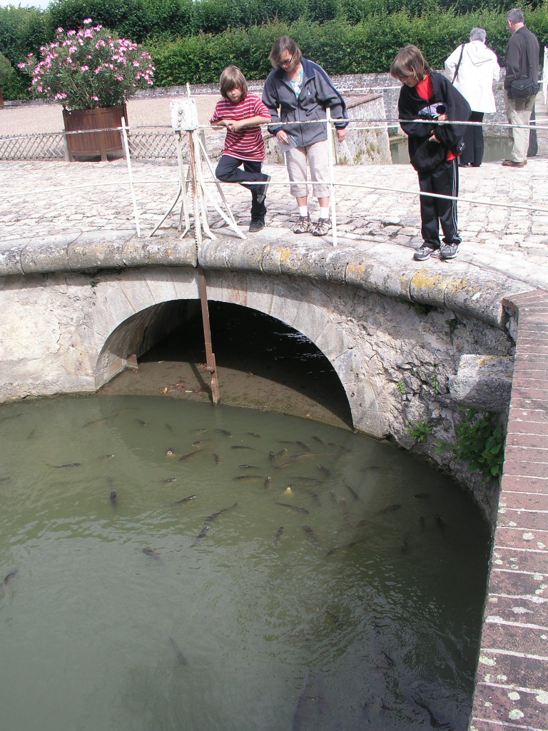 Villandry moat